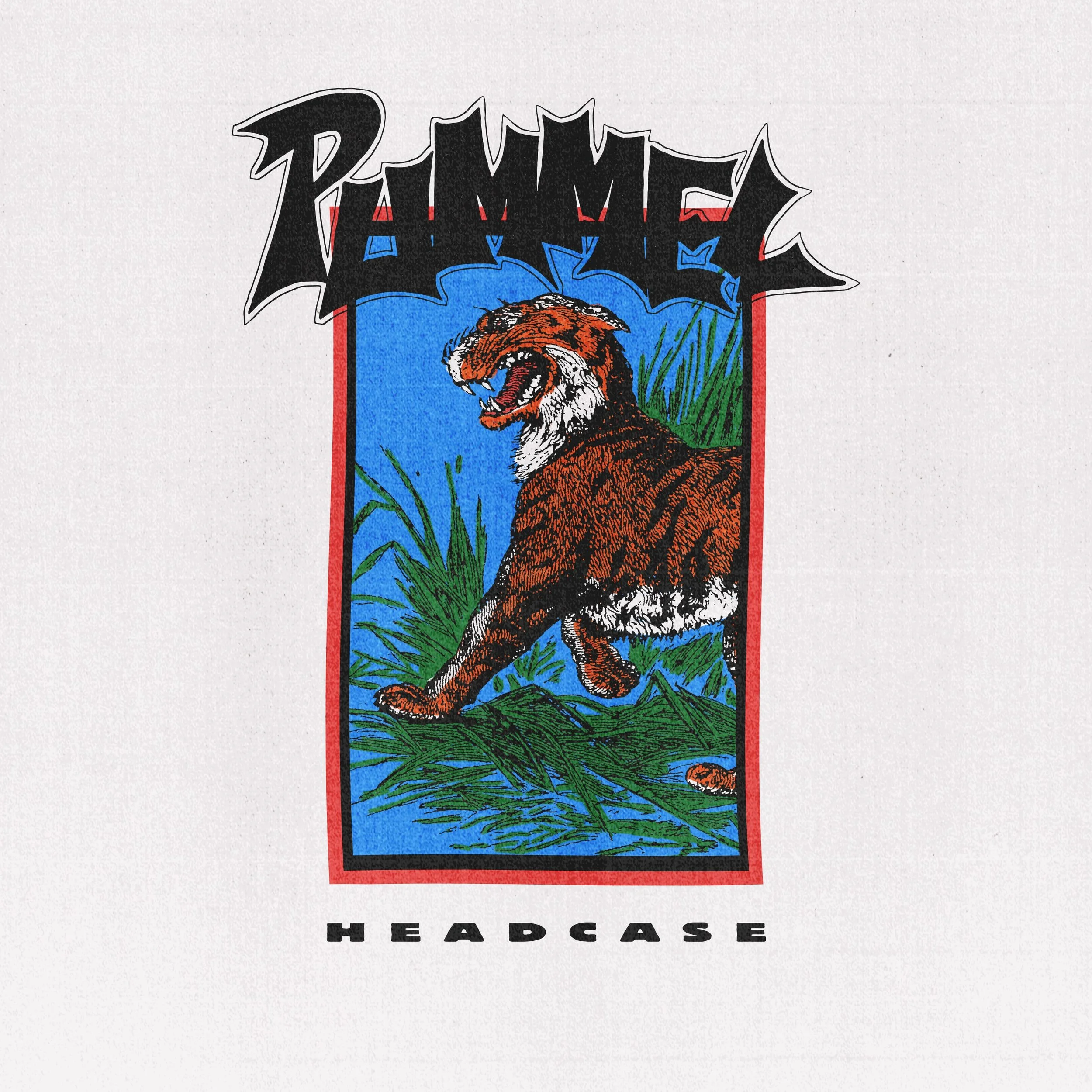 Pummel - Headcase - Cover.jpg