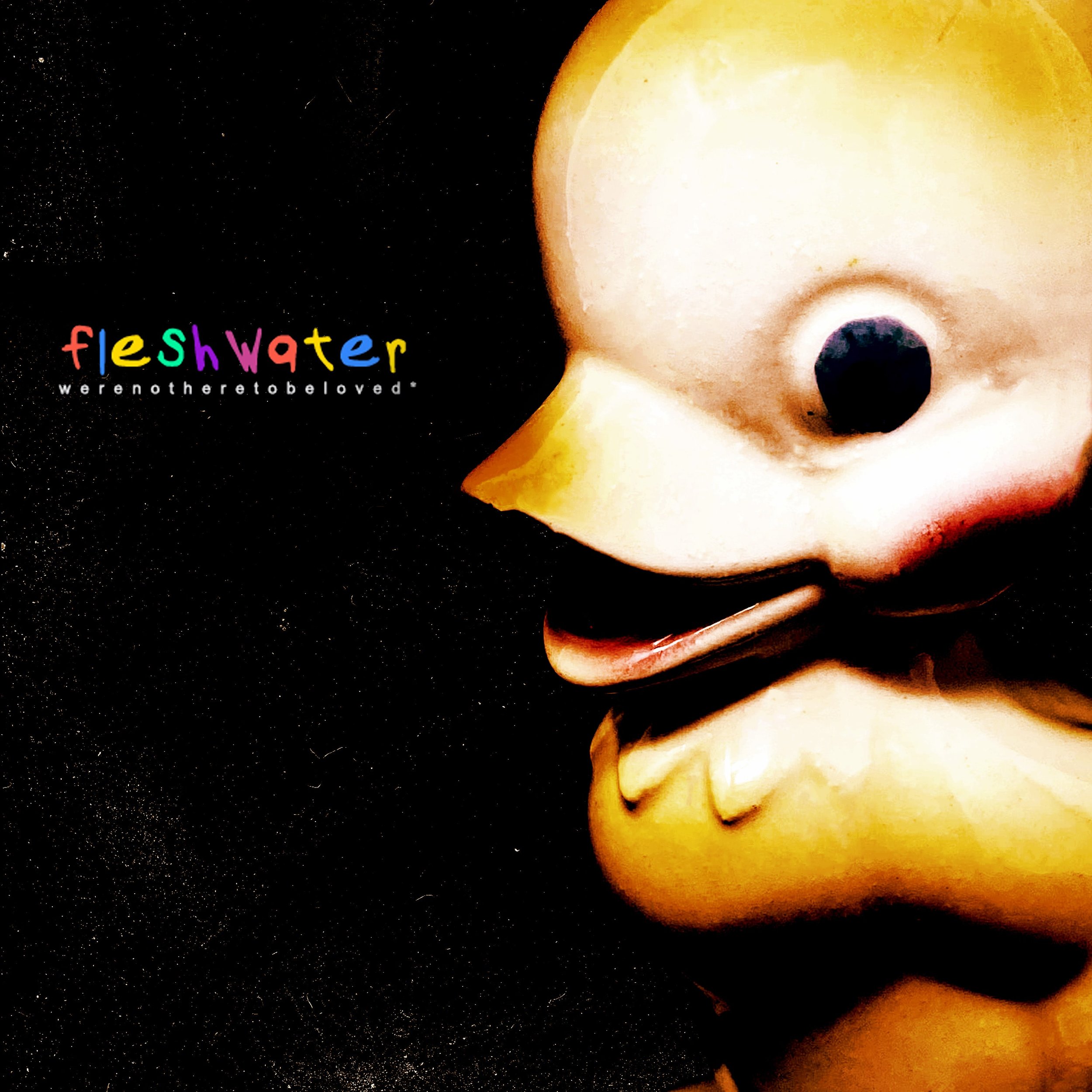 Fleshwater - We're Not Here To Be Loved - Cover.jpg