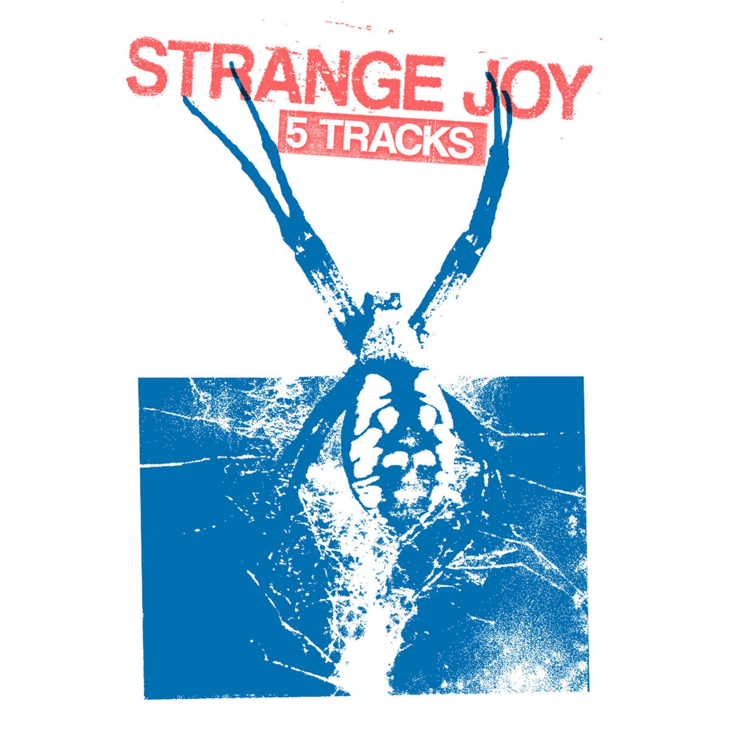 Strange Joy - Cover.jpg
