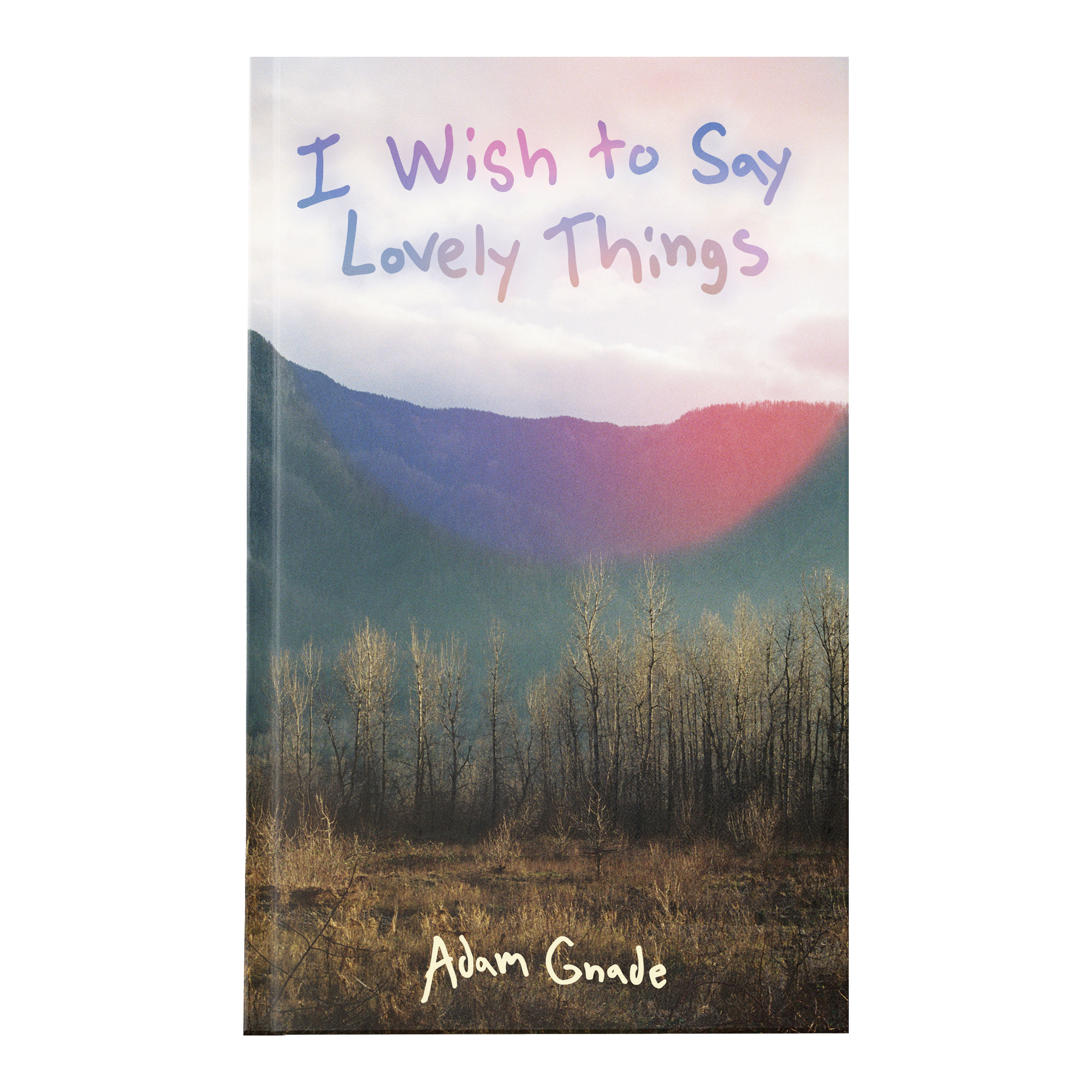 Adam Gnade - Wish to Say Lovely Things - Cover.png