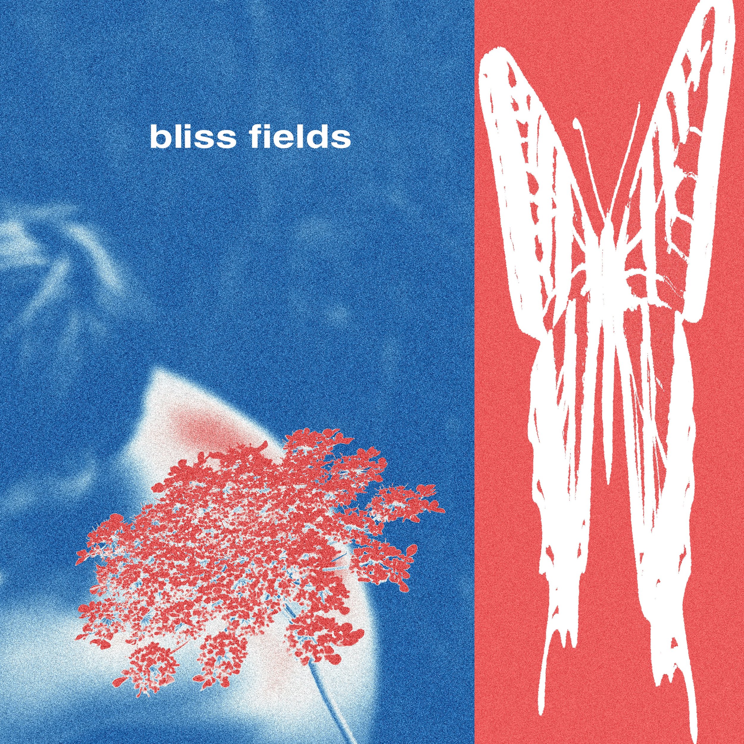 Bliss Fields - Bliss Fields - Cover.jpg