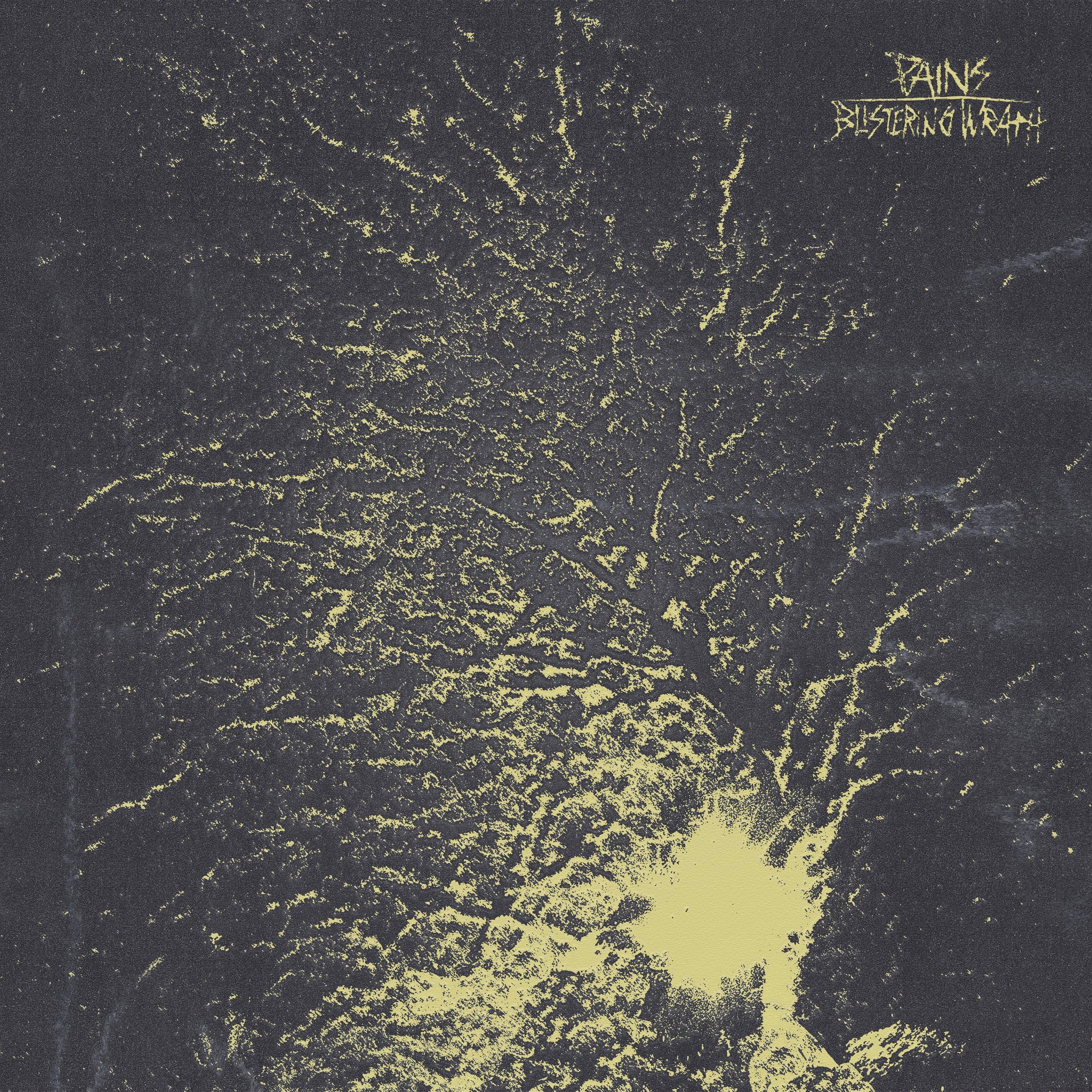 Pains - Blistering Wrath - Cover.jpg