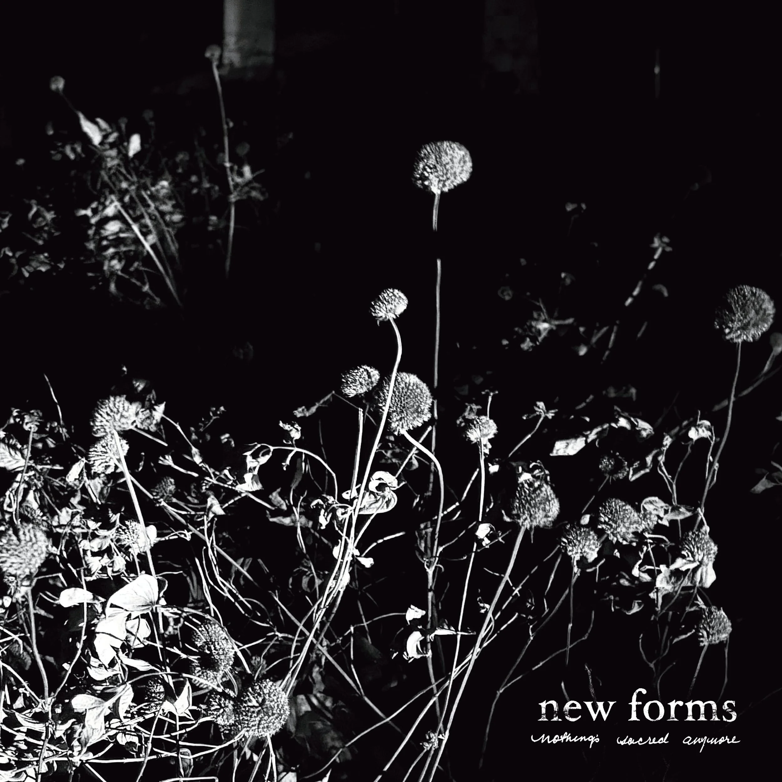 New Forms - Nothing's Sacred Anymore - Cover.jpg