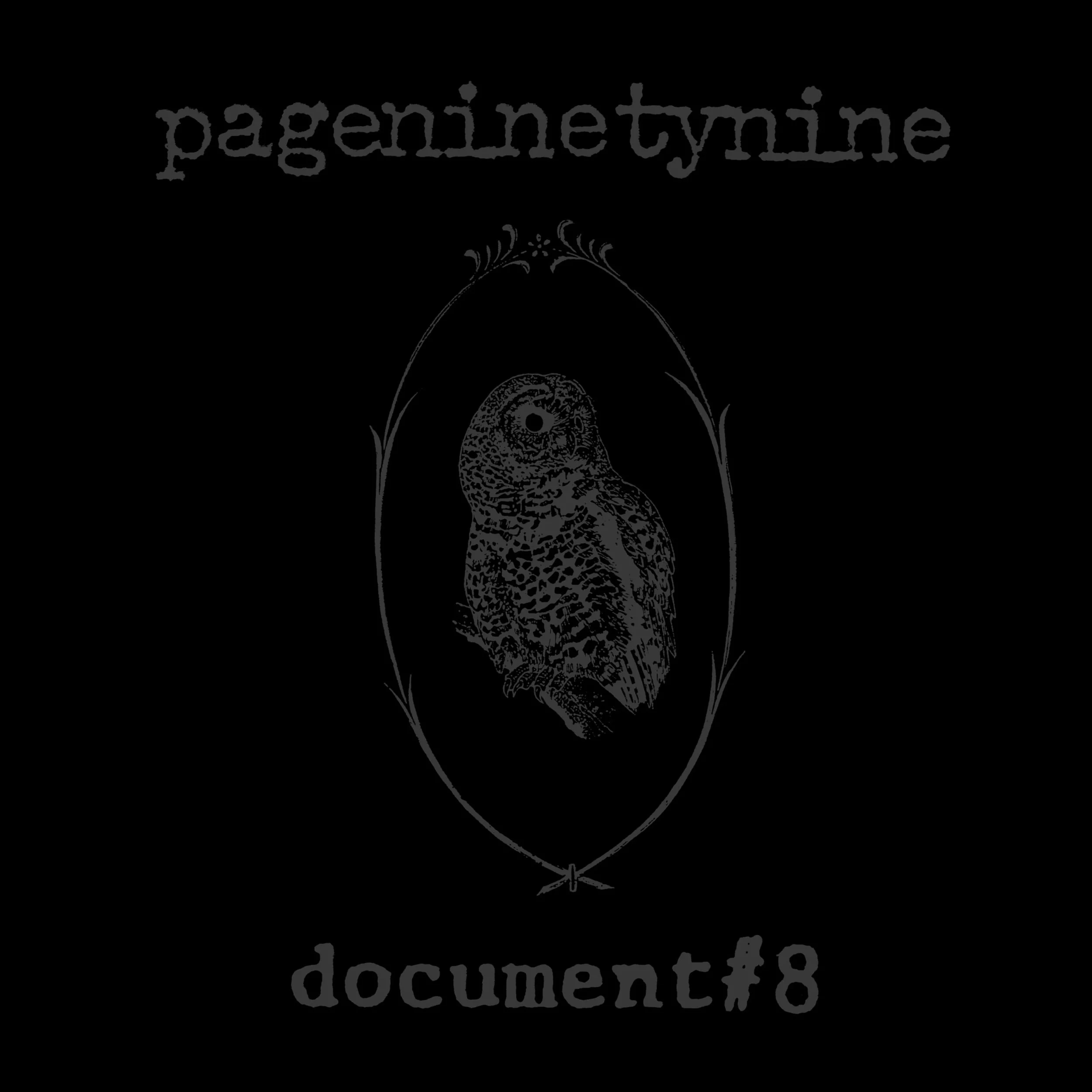 pageninetynine - document #8 (25th Anniversary) - Cover.jpg