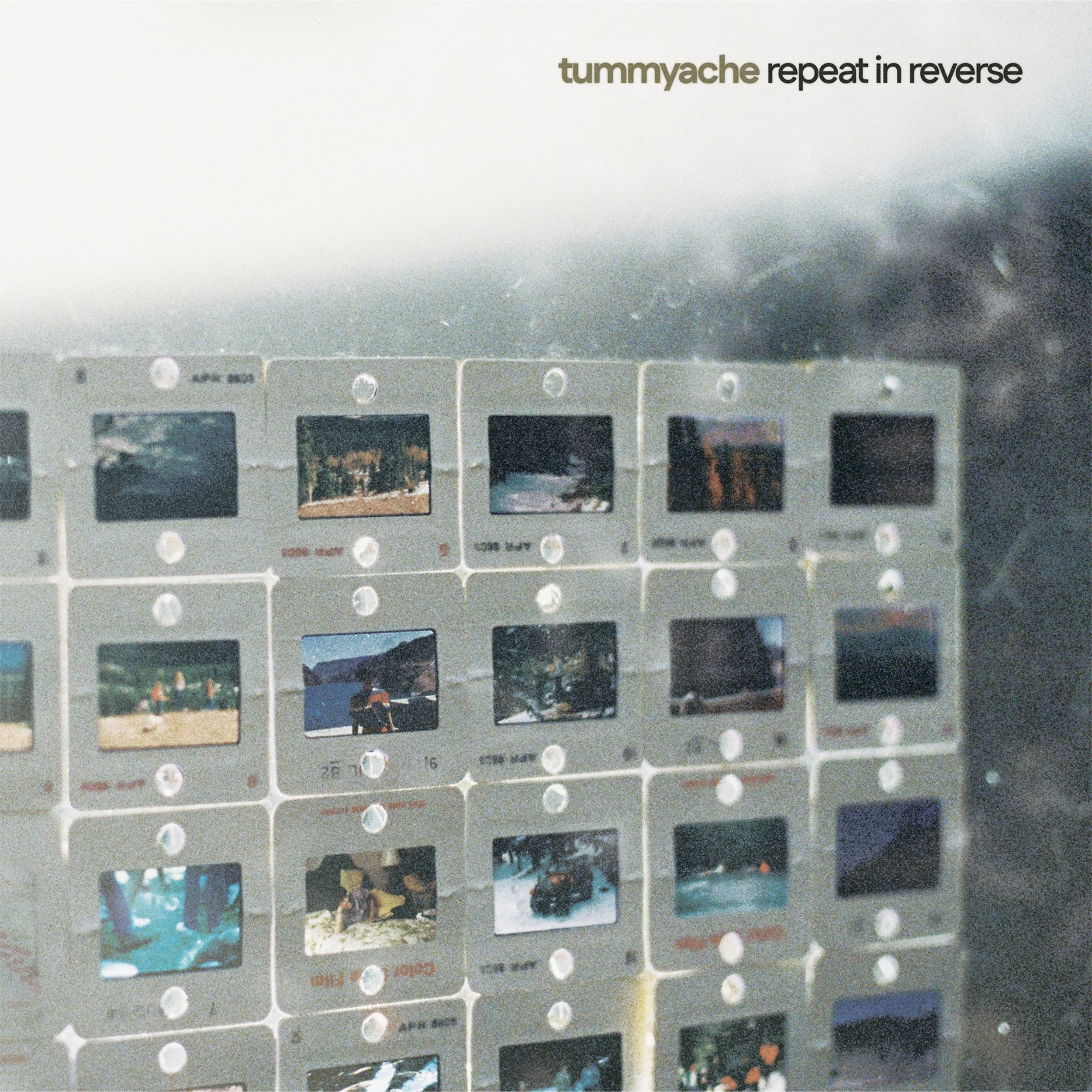 Tummyache - Repeat in Reverse - Cover.jpg
