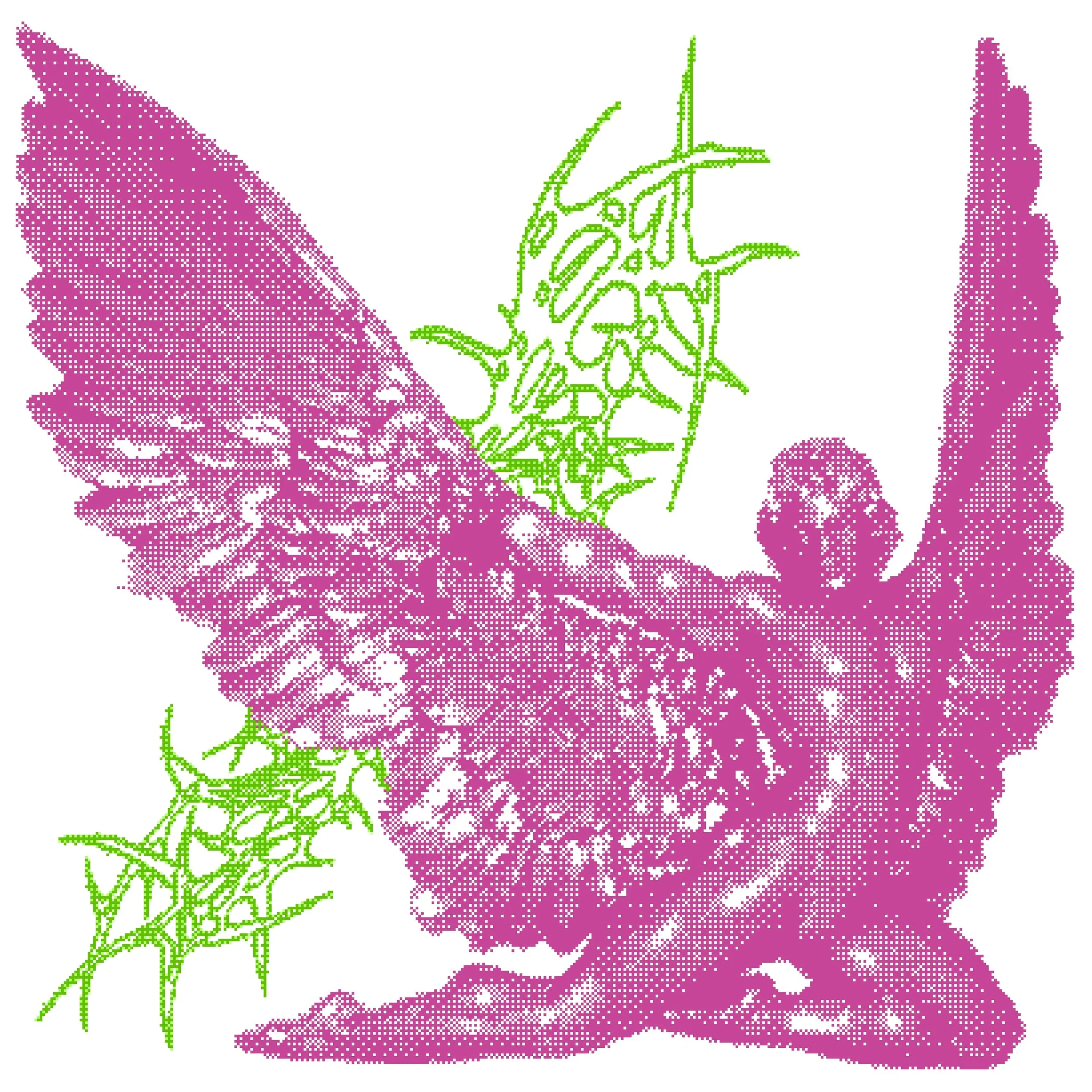 Pain Program - Pain Program - Cover.jpg