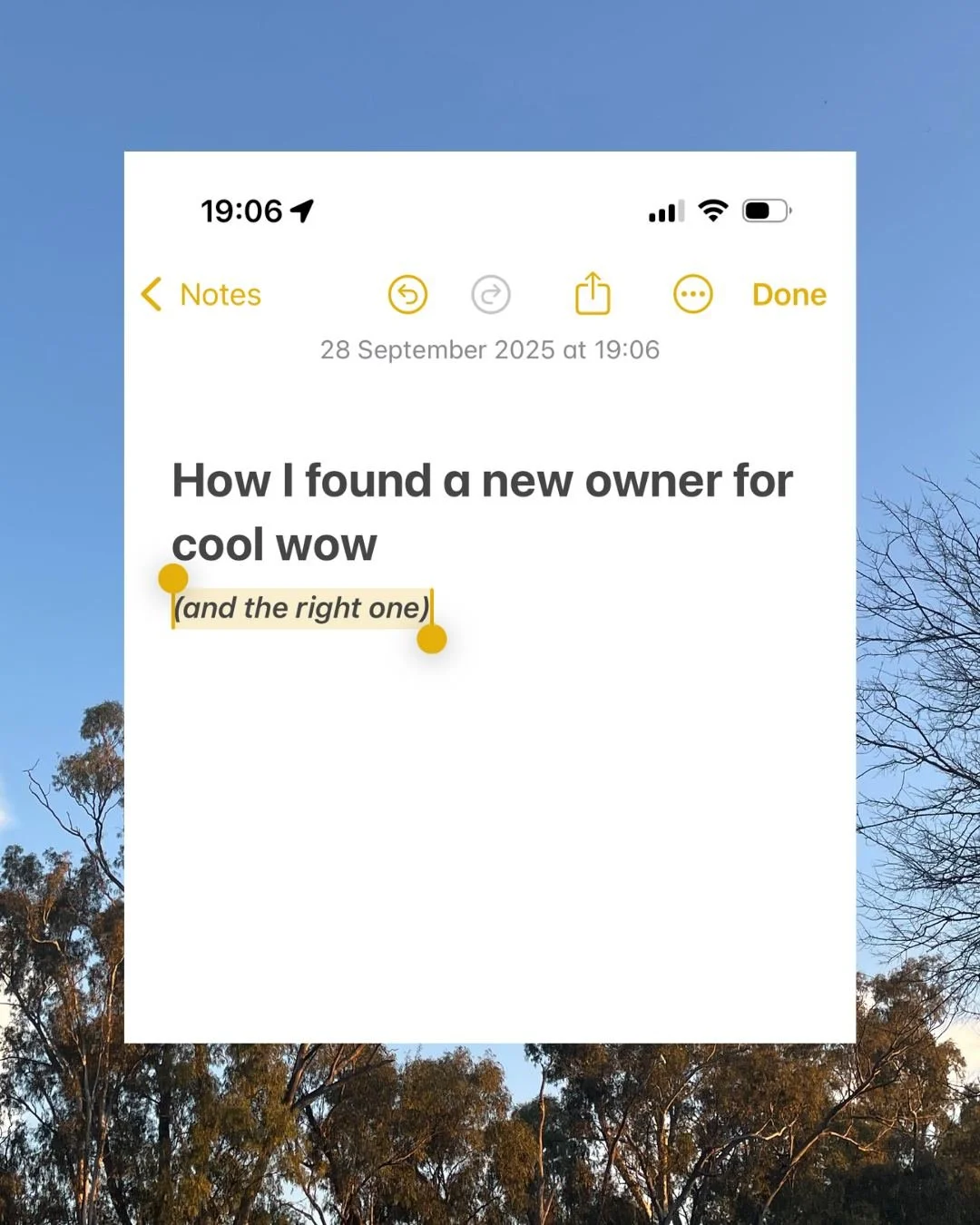 You&rsquo;ll get to meet Cool Wow&rsquo;s new owner tomorrow (Monday!) 👀