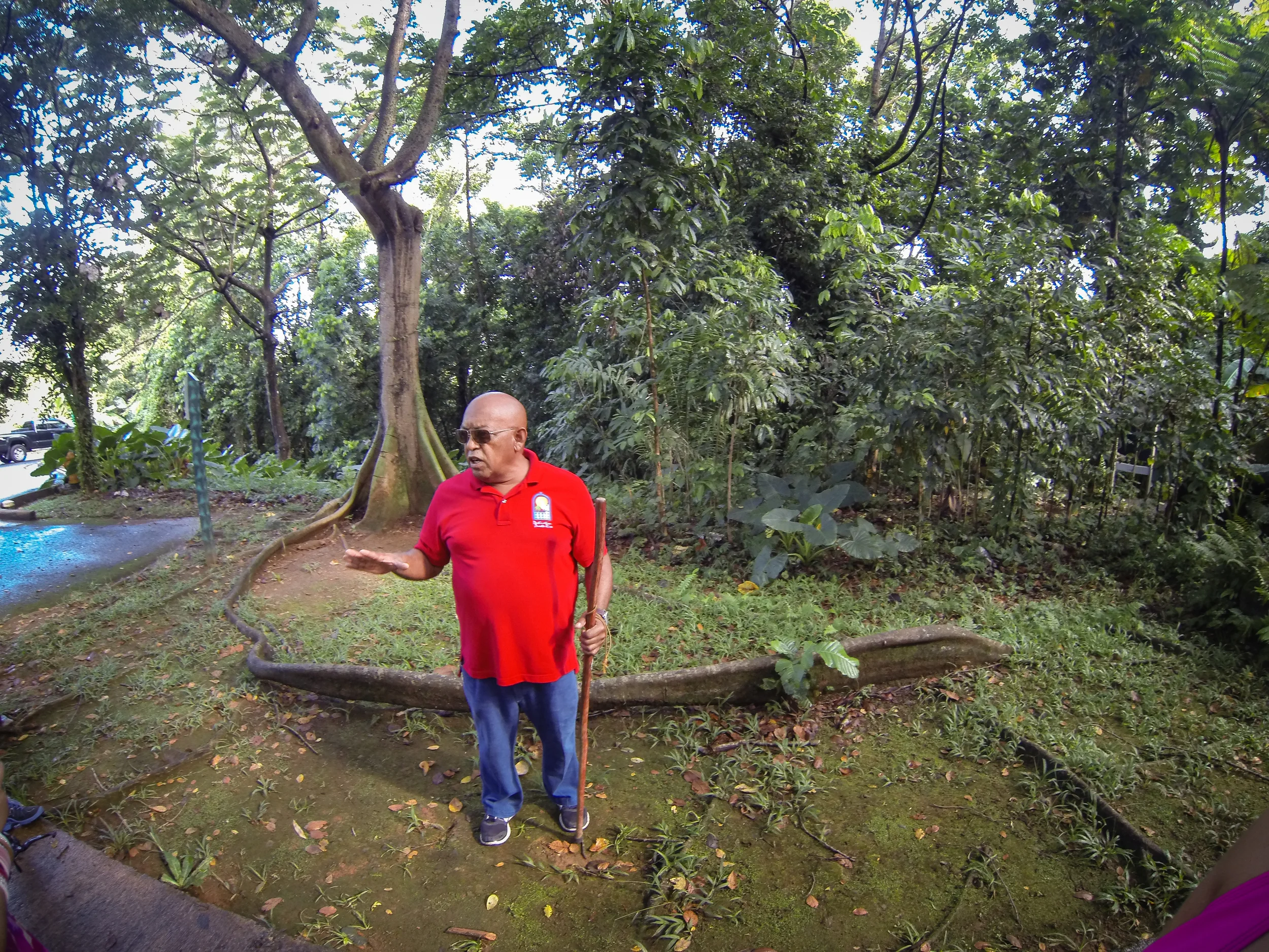PuertoRico_111_Photo_20131109-2918950946-O.jpg
