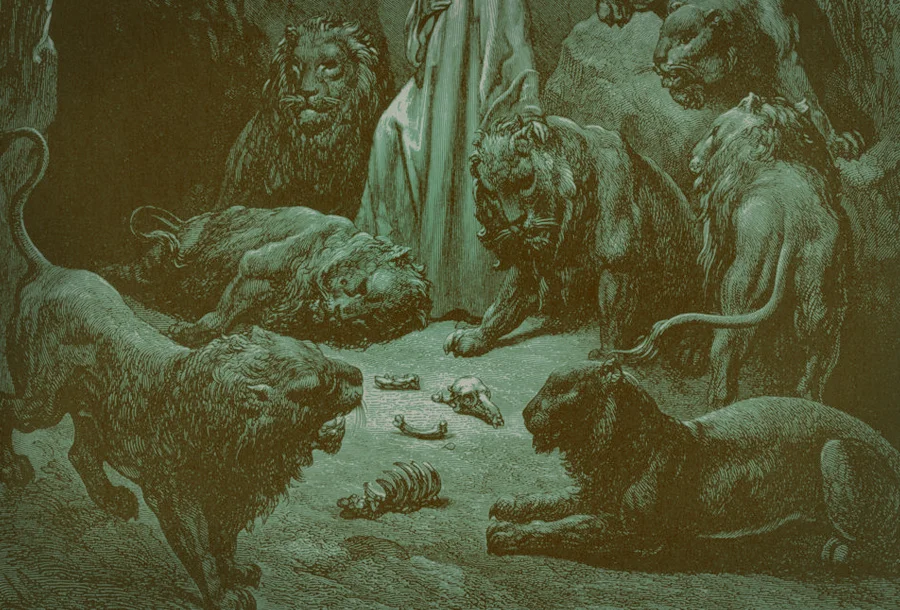 daniel_banner.jpg