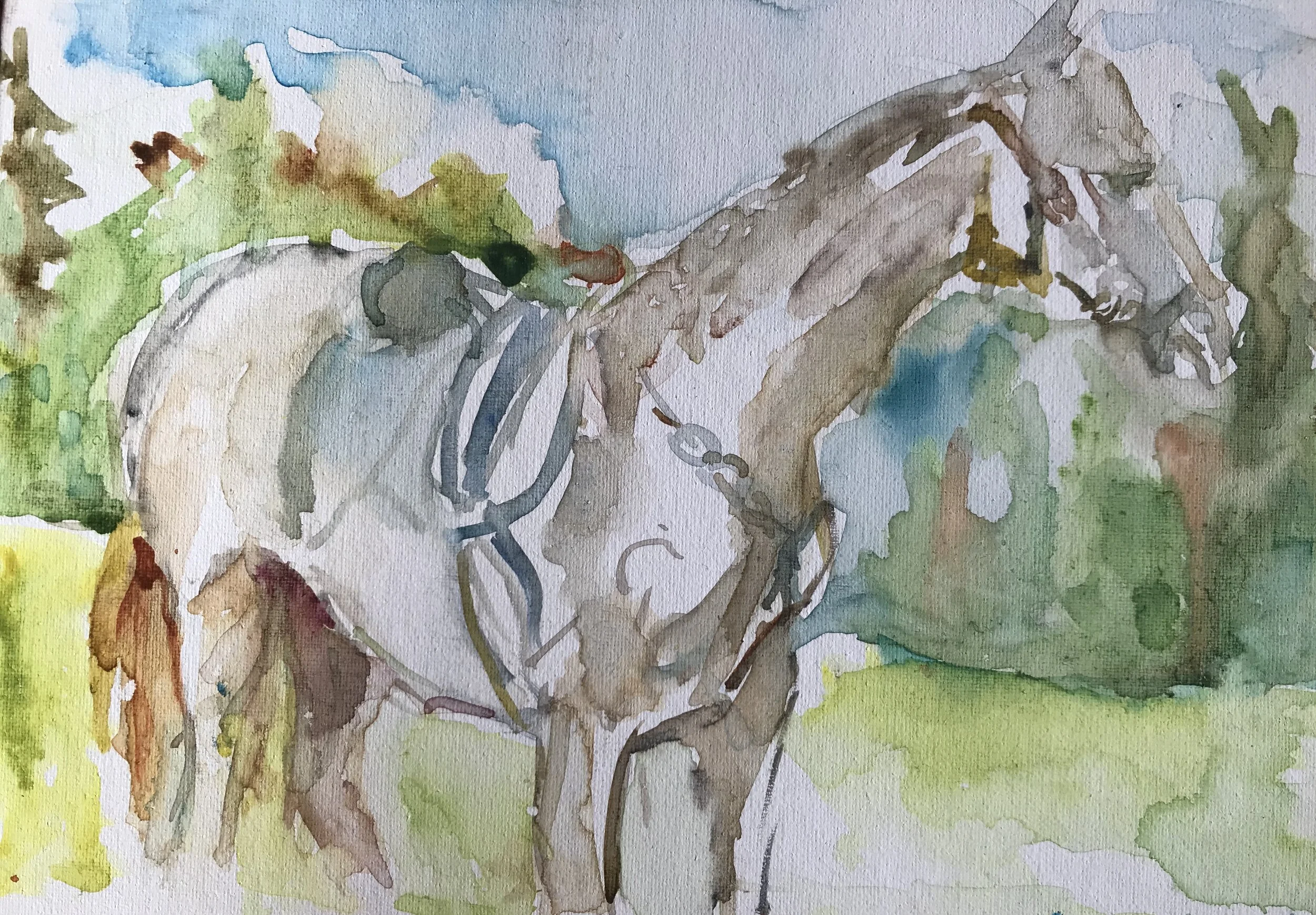 2C354529-DF15-43B3-958D-7F81D6178D64