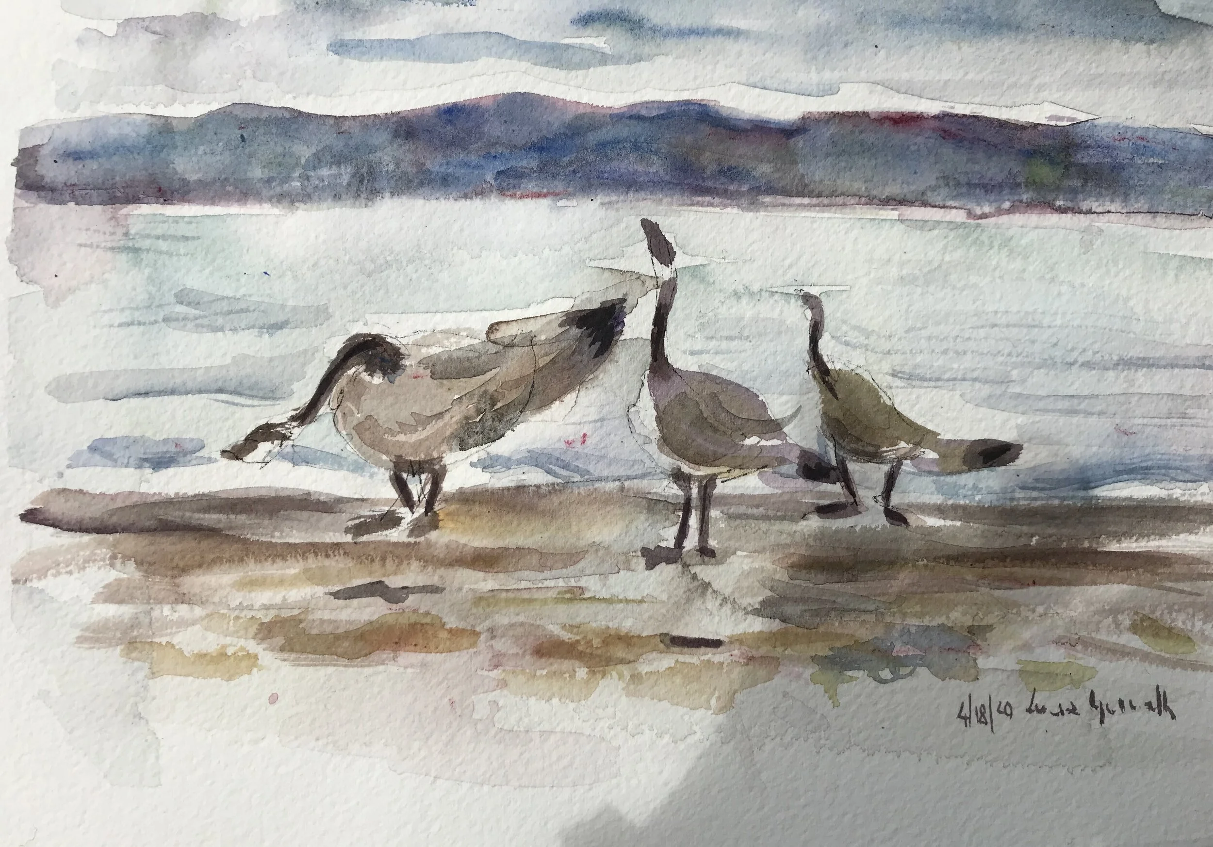 C20D7CB1-865D-4B54-B439-DD8AEE734927