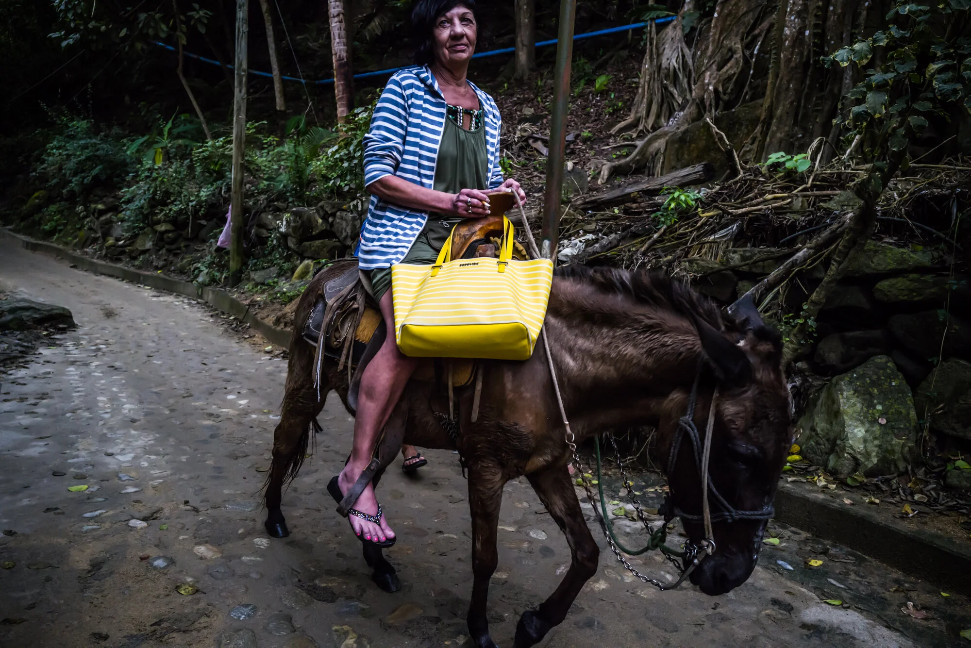 A Mule, a cigarette, a yellow bag. 
