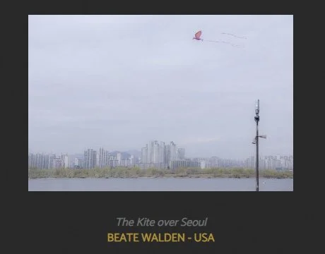 The Kite over Seoul