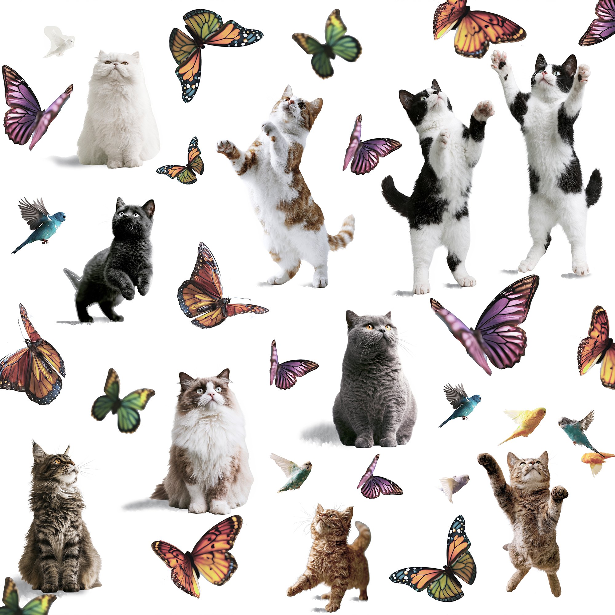 Cats and Birds 2 CF25 Sm.jpg