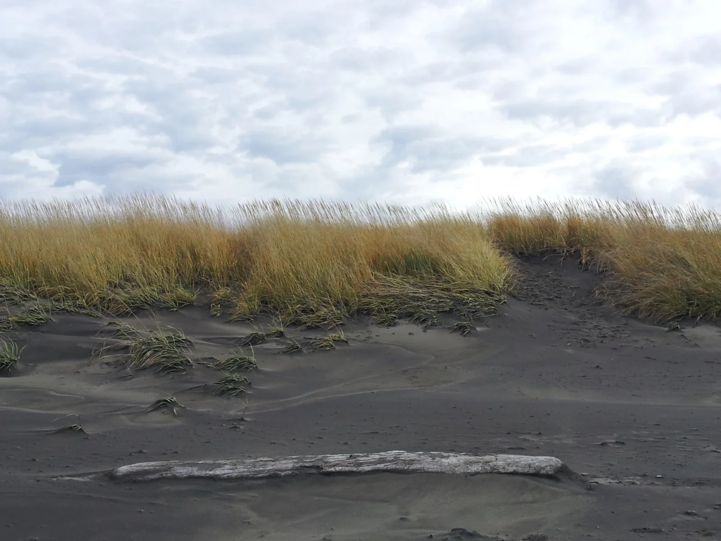 20121122_110352.jpg