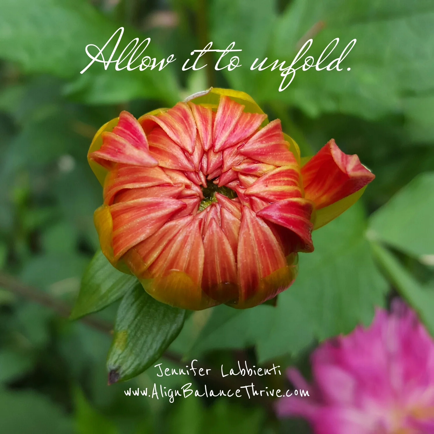 Ongoing - Distance Learning through Bastyr University - (PSYCH - 15PATT000) Patterns of Personality - Five Elements & the Cycles of Time 