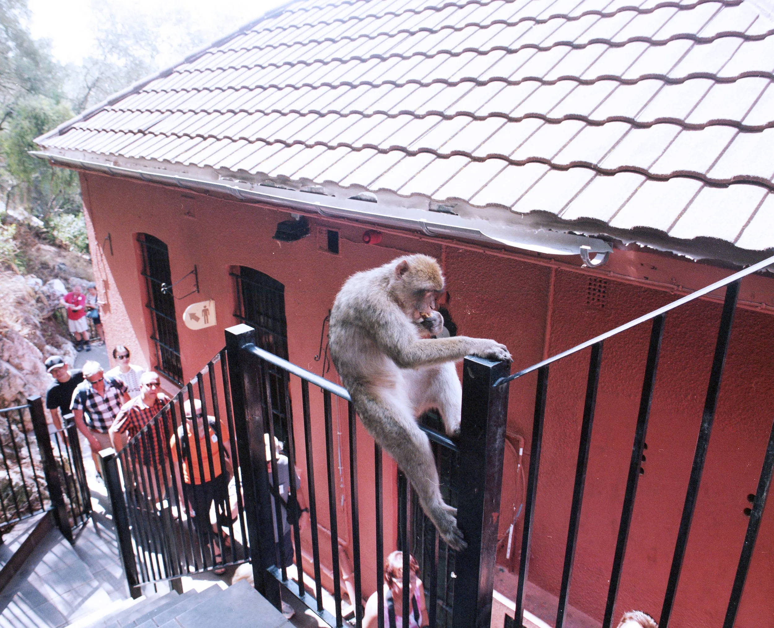 Gibraltar007.jpg