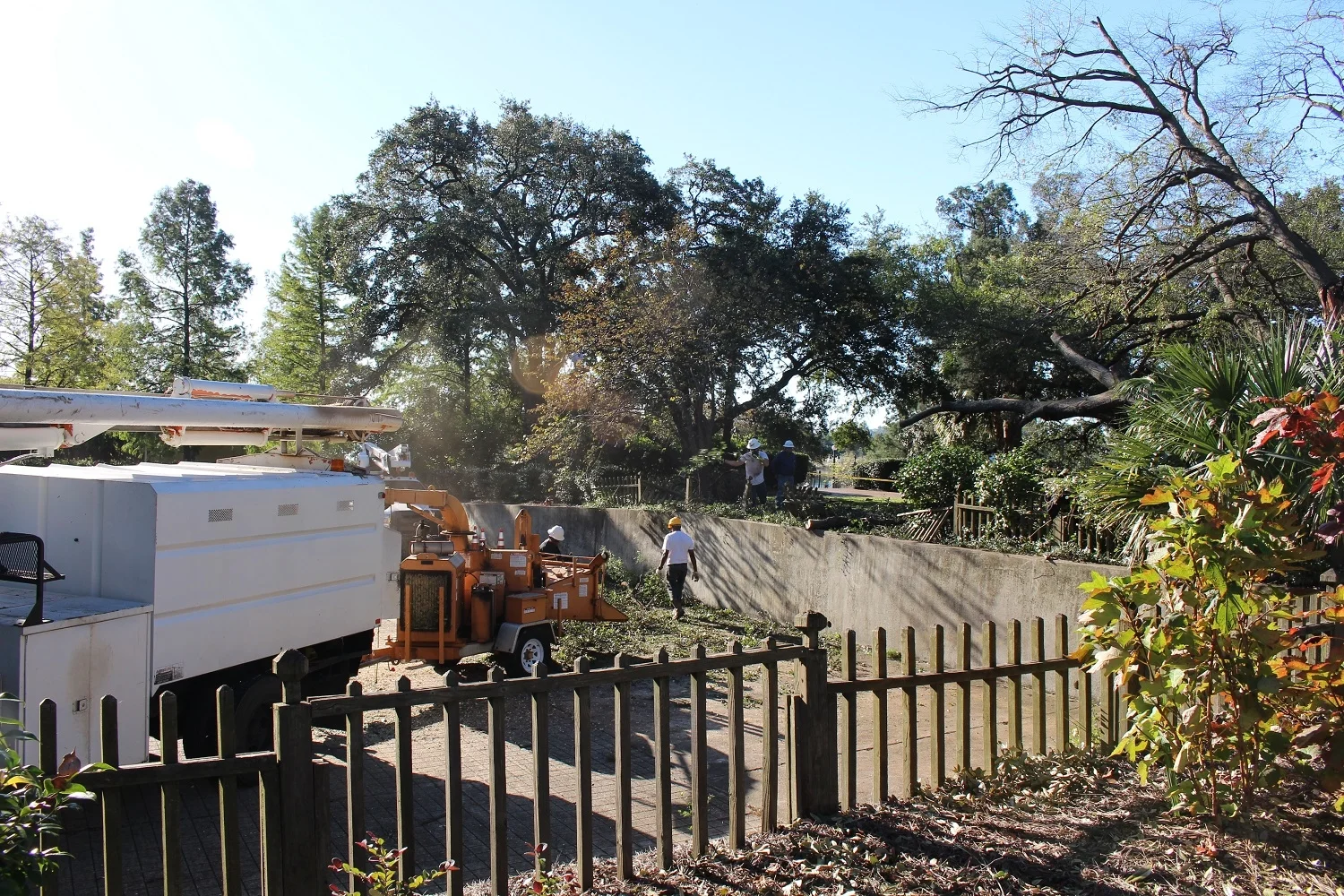 Before: Fence damage from Hurricane Matthew.