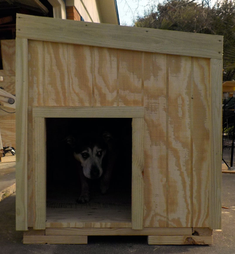 Our dog Fezzik inspects the made to order dog house before it gets delivered for painting.