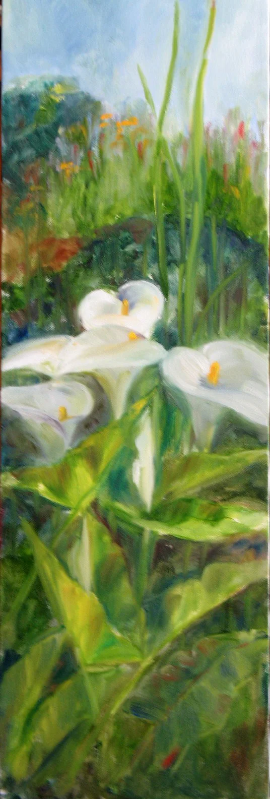 Calla Lilies, oil on canvas, 30"X12"