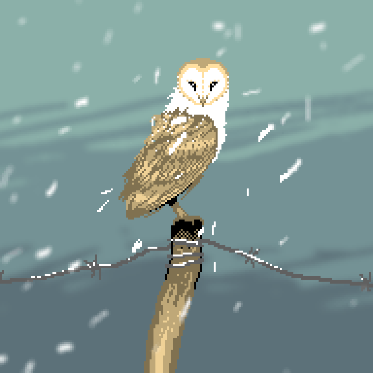 owlsnow.gif
