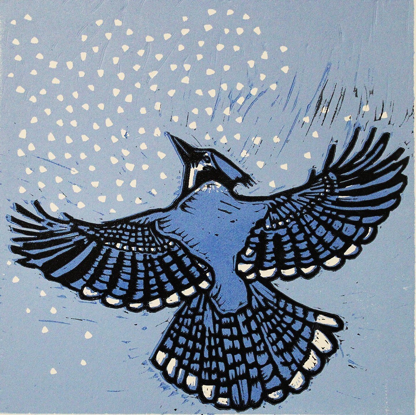 New shop drops including this Blue Jay print