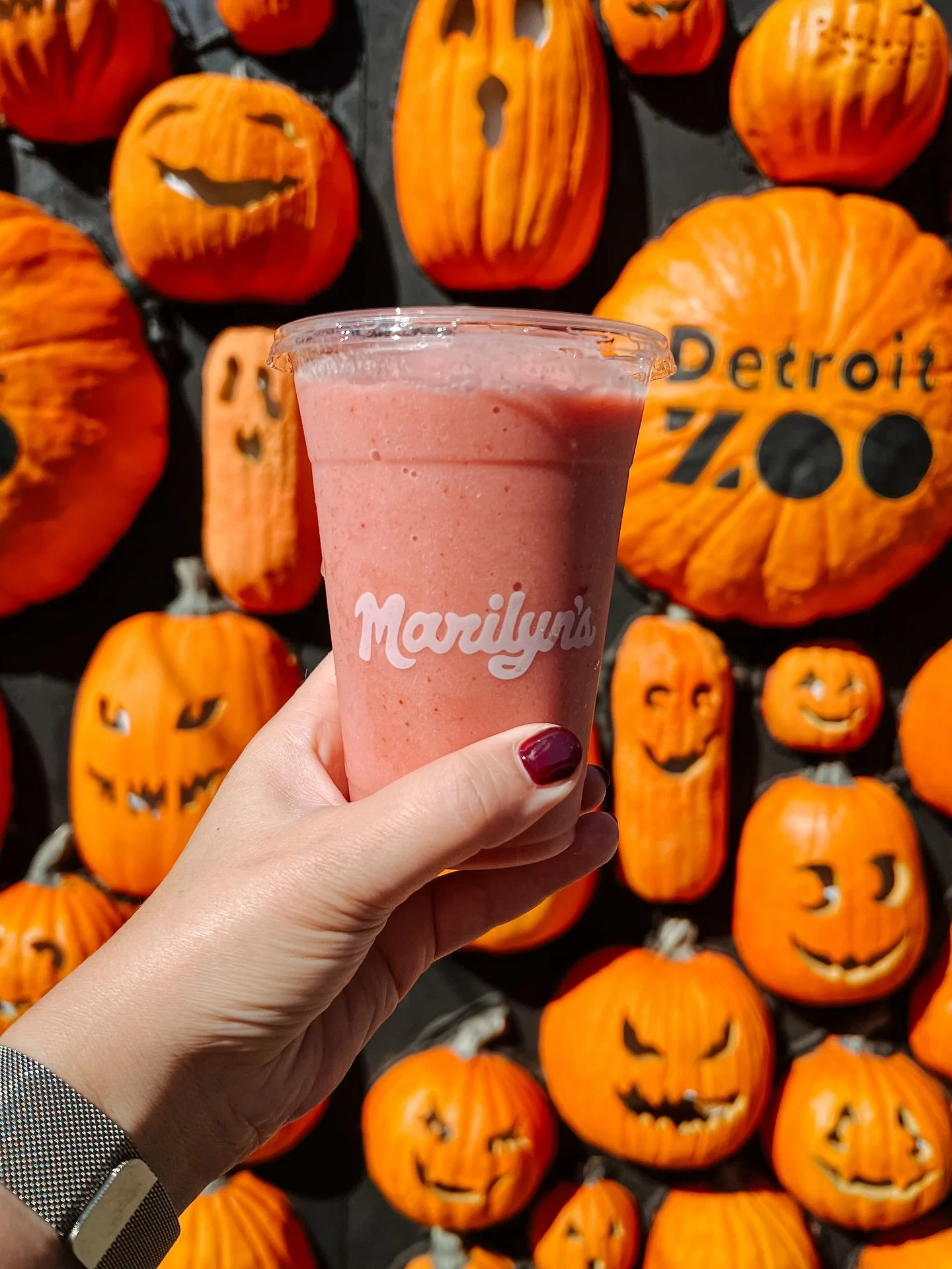 Catch us at Zoo Boo every weekend at the Detroit Zoo! 👻 We&rsquo;re blending organic fruit to keep you fueled while you wander through the pumpkins and spooky sights. 🎃🍓

And we&rsquo;re brining our infamous PUMPKIN SPICE SMOOTHIE to the zoo!! Get