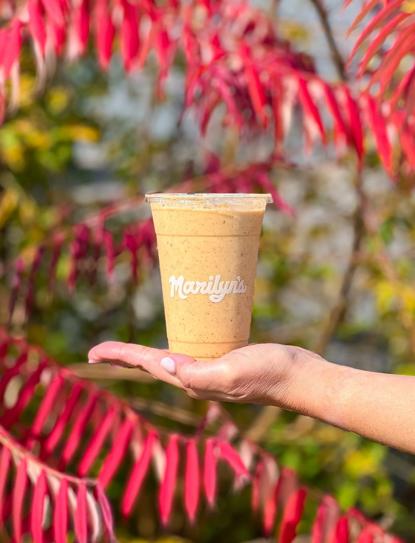 🍁 Meet our Apple Crisp Smoothie 🍁 Launching this weekend, a cozy blend of Honeycrisp apple, pumpkin, banana, vegan protein, cauliflower, flax, cinnamon, maple syrup, lemon, and almond milk

It&rsquo;s taking the place of our Pumpkin Spice Smoothie 