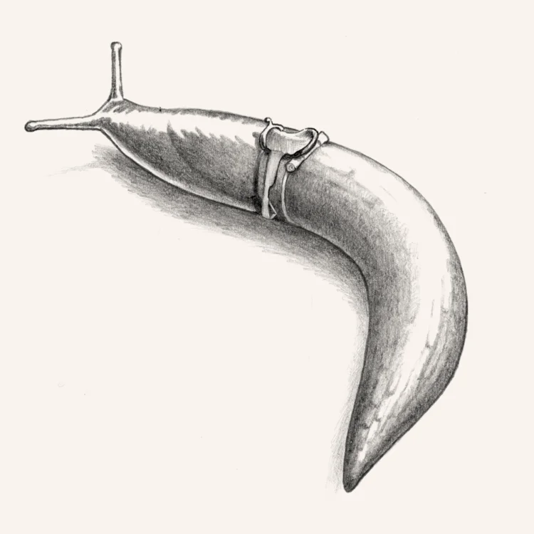 web+slug copy.jpg