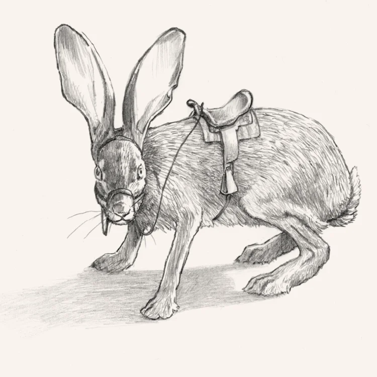 web+jackrabbit copy.jpg