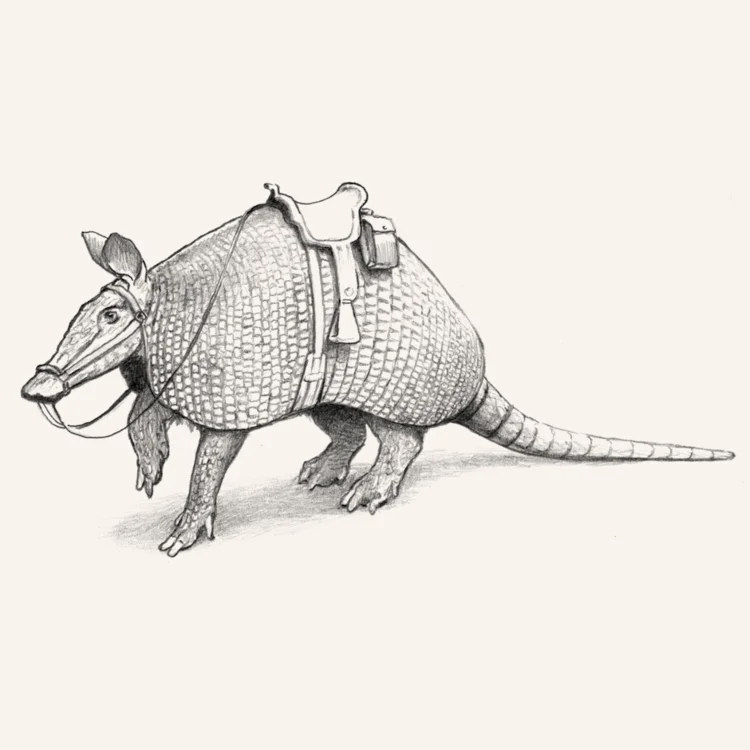 web+armadillo.jpg