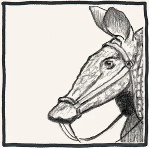 web+dillo+click+on copy.jpg