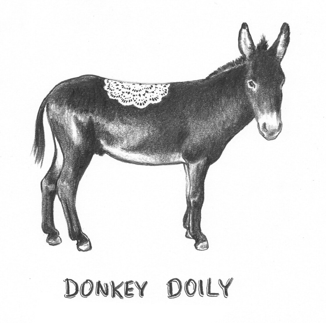 donkey doily2 copy 2.jpeg