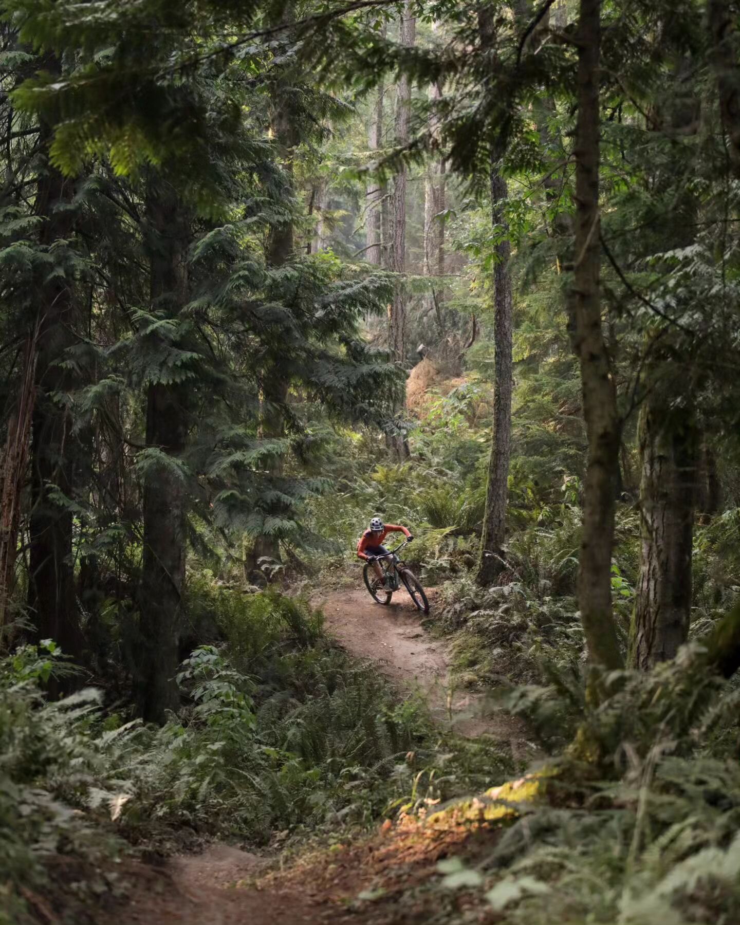 It's that time of year again.. @wmbcmtb Shoot the Trails! Here were my submissions from last year. That was one magical day in the smokey trails. 🔥 

@janina_macarthur @queenofthemnt