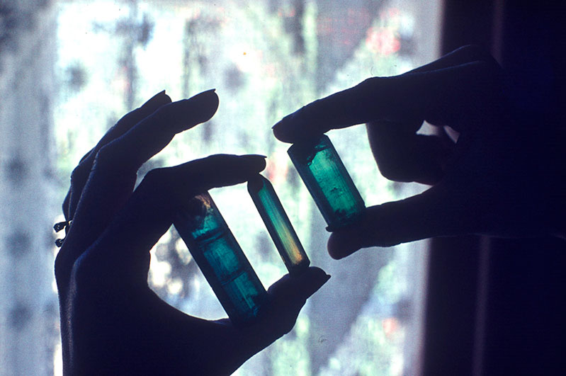  Rare gem tourmaline crystals&nbsp;from Usakos, Namibia. The center bi-color now is in the William Larson Collection; photo taken 1976. 