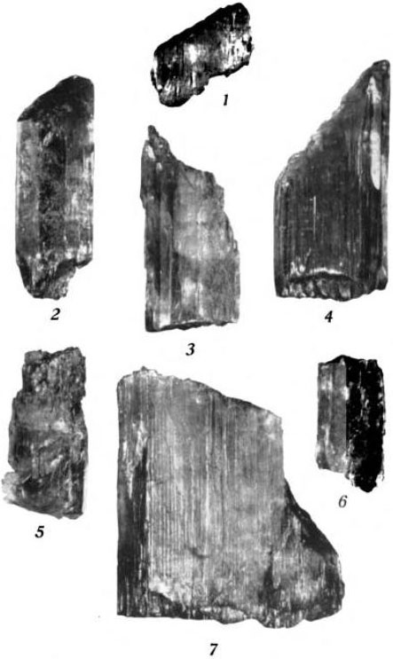 Plate 26. Characteristic forms of the Pala Spodumene.