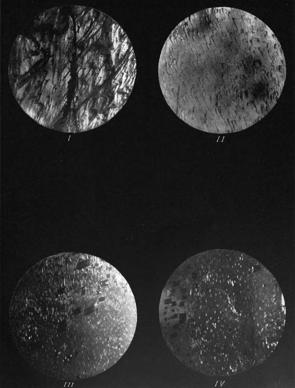 Plate 27. Natural etch figures on the Pala Spodumene. I. On the prism 110. II. On the prism 110. III and IV. On the clinopinacoid 010.