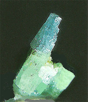 Figure 4. Marvel of a blue-and-green beryl crystal from the Binn Valley, Valais, Switzerland. Total length approximately 8 mm. Emerald and Aquamarine? (Photo: M. Krzemnicki)