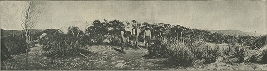 Prospecting for gems in Lower California. ( Click to enlarge)
