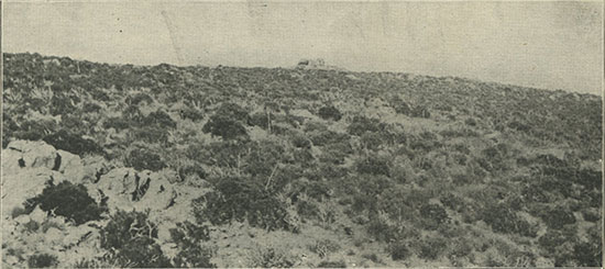 Where gems are found. A characteristic landscape in Lower California