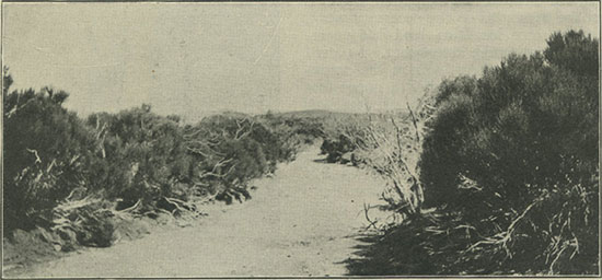 A mountain stream in the dry season