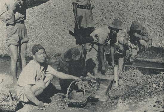 Gem washing in the Burma gem mines. This takes place every day. This image, in color, also is included in Ruby Mines of Mogok – Slide Show (image #11)
