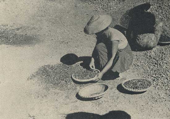 Woman re-assorting the gem gravels of Burma for small gem fragments