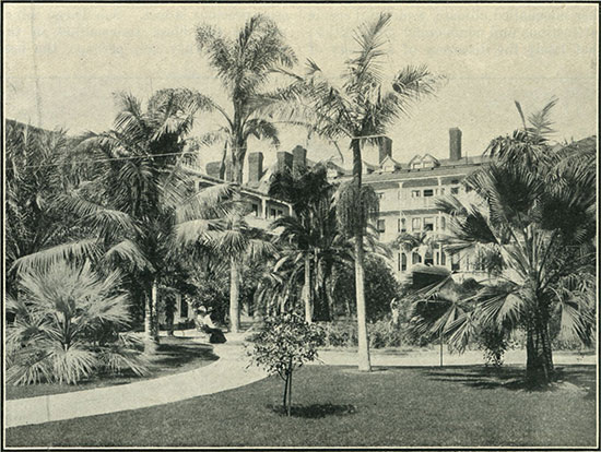 Tropical garden of the patio of Hotel del Coronado. (Photo: Fitch Studio)