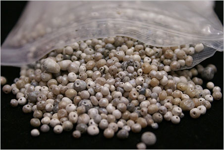 Drilled natural pearls recovered from the Cirebon wreck. (Photo: Ken Scarratt)