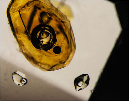 Yin and yang. A mobile bubble floats in petroleum in a negative crystal in Pakistani quartz. This photo was awarded 3rd place in the Gem-A's 2014 photo competition. (Photomicrograph: E. Billie Hughes, Lotus Gemology)
