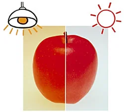 Lighting can have a dramatic effect on the appearance of any colored gem. Incandescent lighting (left) is rich in red, orange and yellow wavelengths and thus pushes an object’s color in that direction. In contrast, skylight (right) is more balanced, pushing the color in the opposite direction. (Illustration: Minolta)