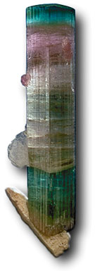 The wide variety of colors possible in tourmaline is illustrated by this stunning crystal from California’s Himalaya Mine.
