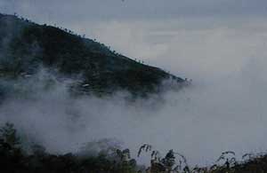 Fog in Sri Lanka’s central highlands. The high moisture content gives the light a grayish cast. (Photo © R.W. Hughes )