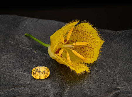 Not a mellow yellow. The 6.40-carat yellow sapphire from Sri Lanka rests next to a mountain lily taken from the hills of Pala International's Mountain Lily Mine . (Photo: Mia Dixon)